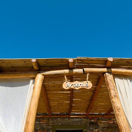 Aliori Art Caves Hotell Aegiali Rom bilde
